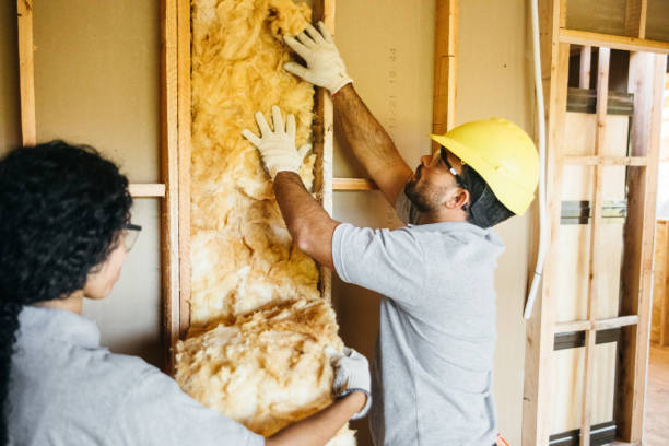 Best Basement Insulation  in Tresckow, PA